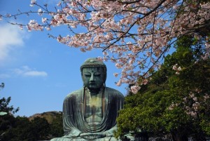 大仏　あきらめ　悟り