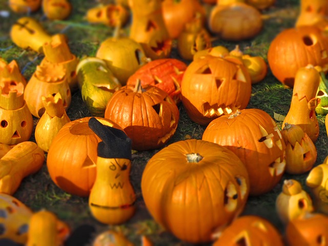 ハロウィン かぼちゃ たくさん