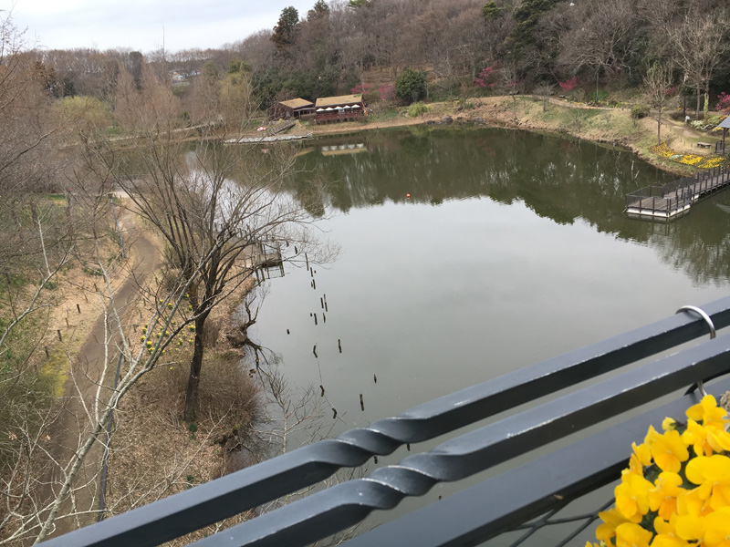 アンデルセン公園 池